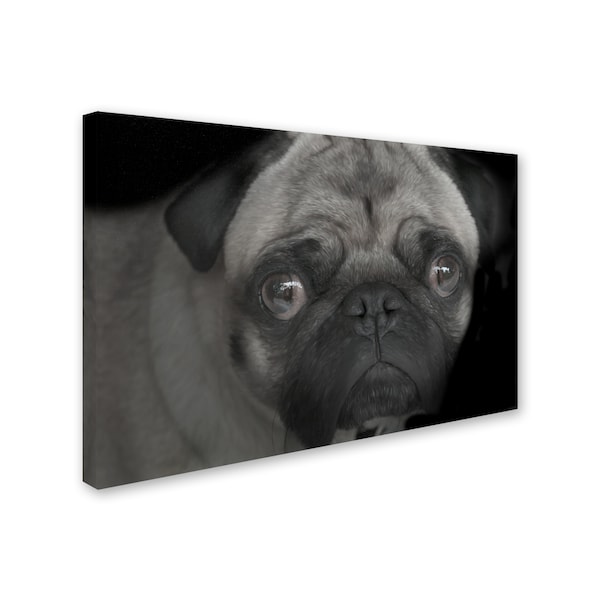 Lori Hutchison 'Pug' Canvas Art,30x47